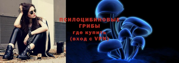 гашик Краснотурьинск