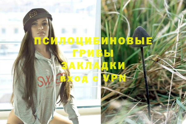 синтетический гашиш Краснослободск