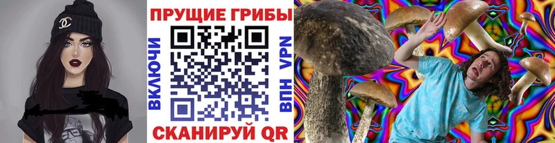 Галлюциногенные грибы MAGIC MUSHROOMS  Купить закладки  Корсаков 