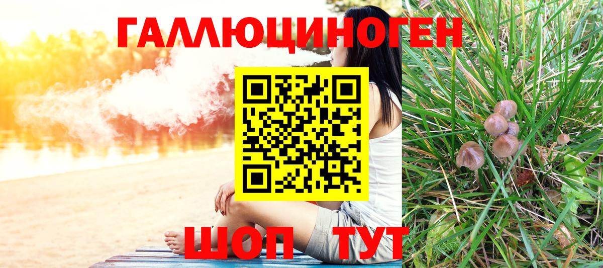 Псилоцибиновые грибы Cubensis Корсаков