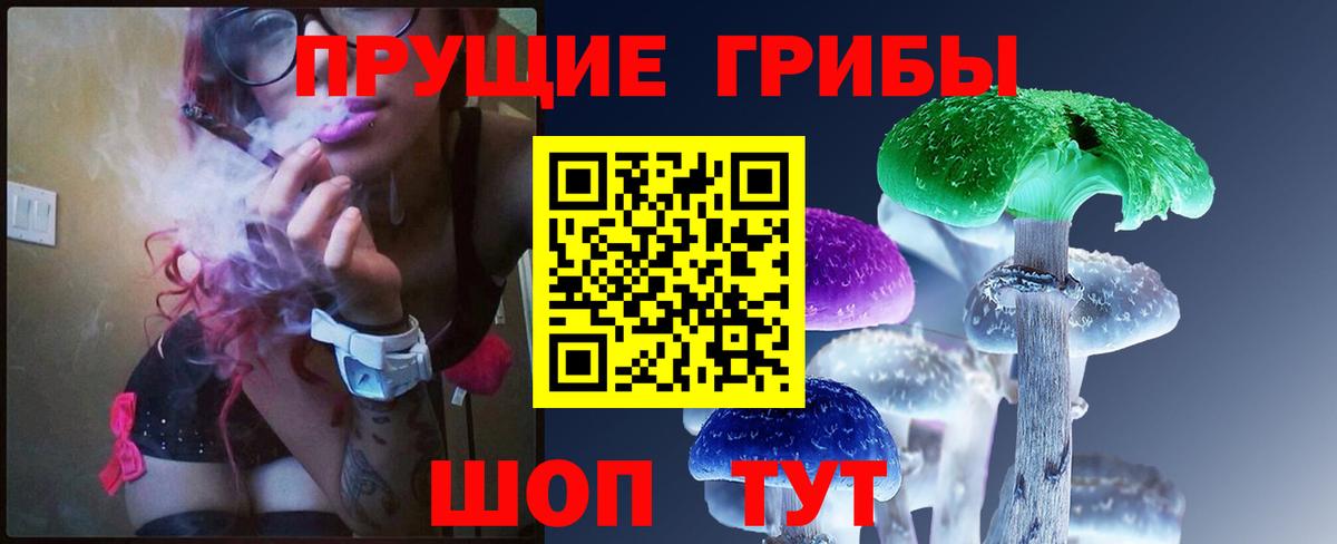 Галлюциногенные грибы мицелий  Корсаков 