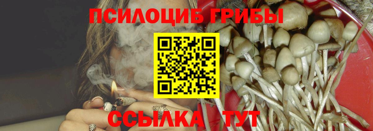 Галлюциногенные грибы Psilocybine cubensis Корсаков