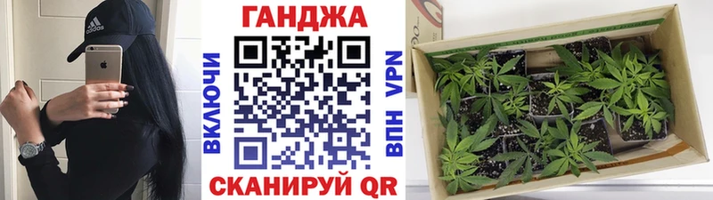 Купить Корсаков Каннабис THC 21%